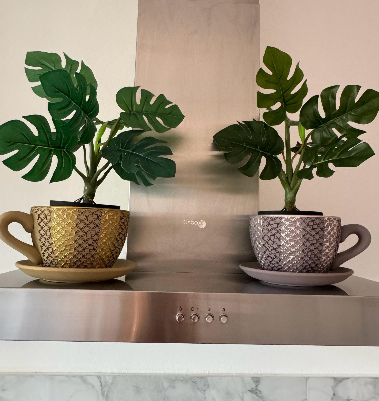 cucina in comune